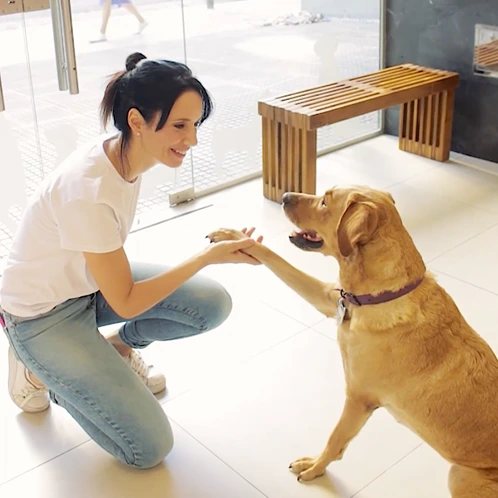 LAVEDOG - baño autoservicio para perros