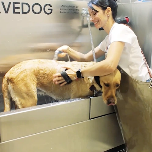 LAVEDOG - baño autoservicio para perros