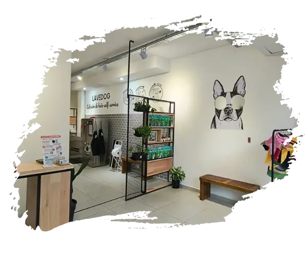 LAVEDOG - baño autoservicio para perros en CABA