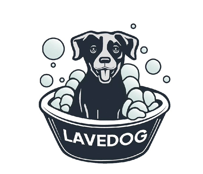 nosotros lavedog